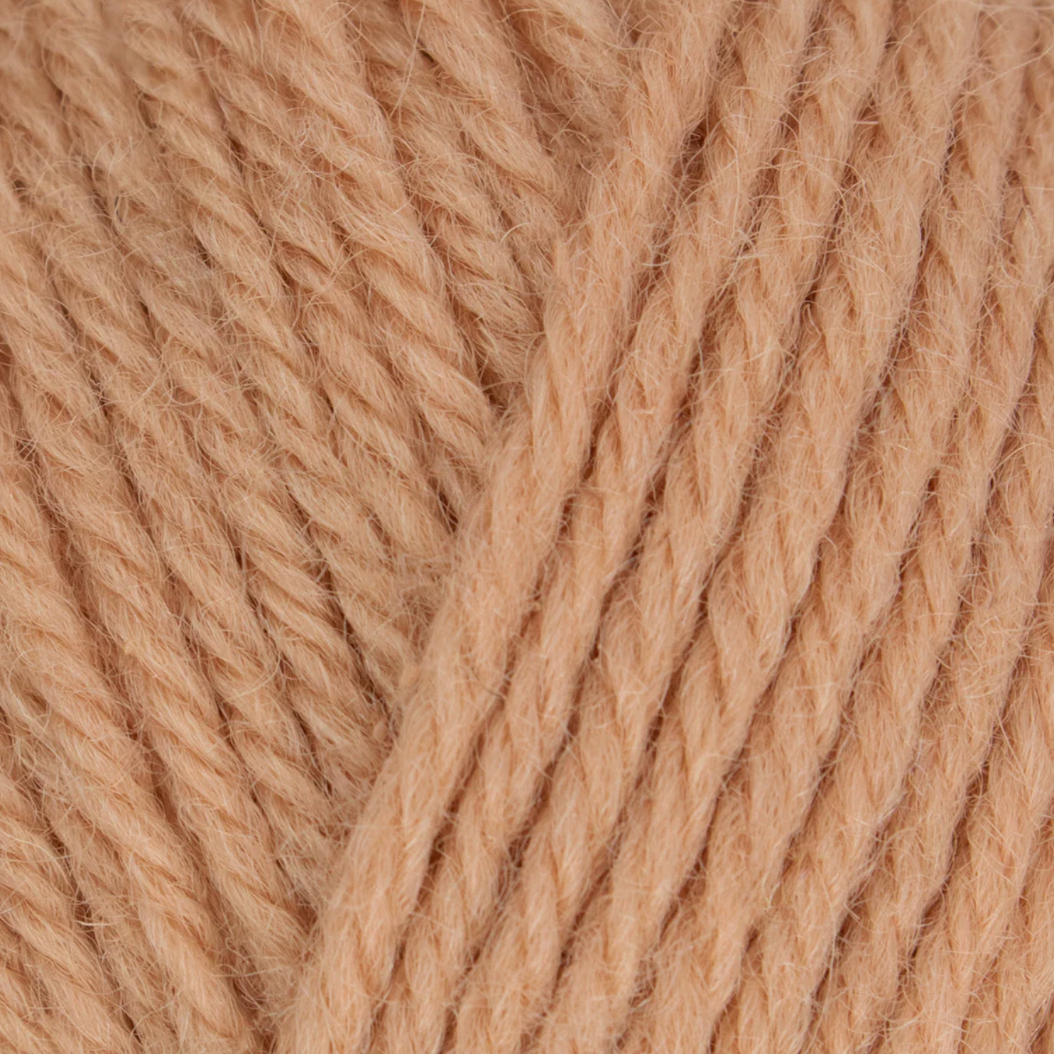 WYS Morris DK : Pimpernel 1290