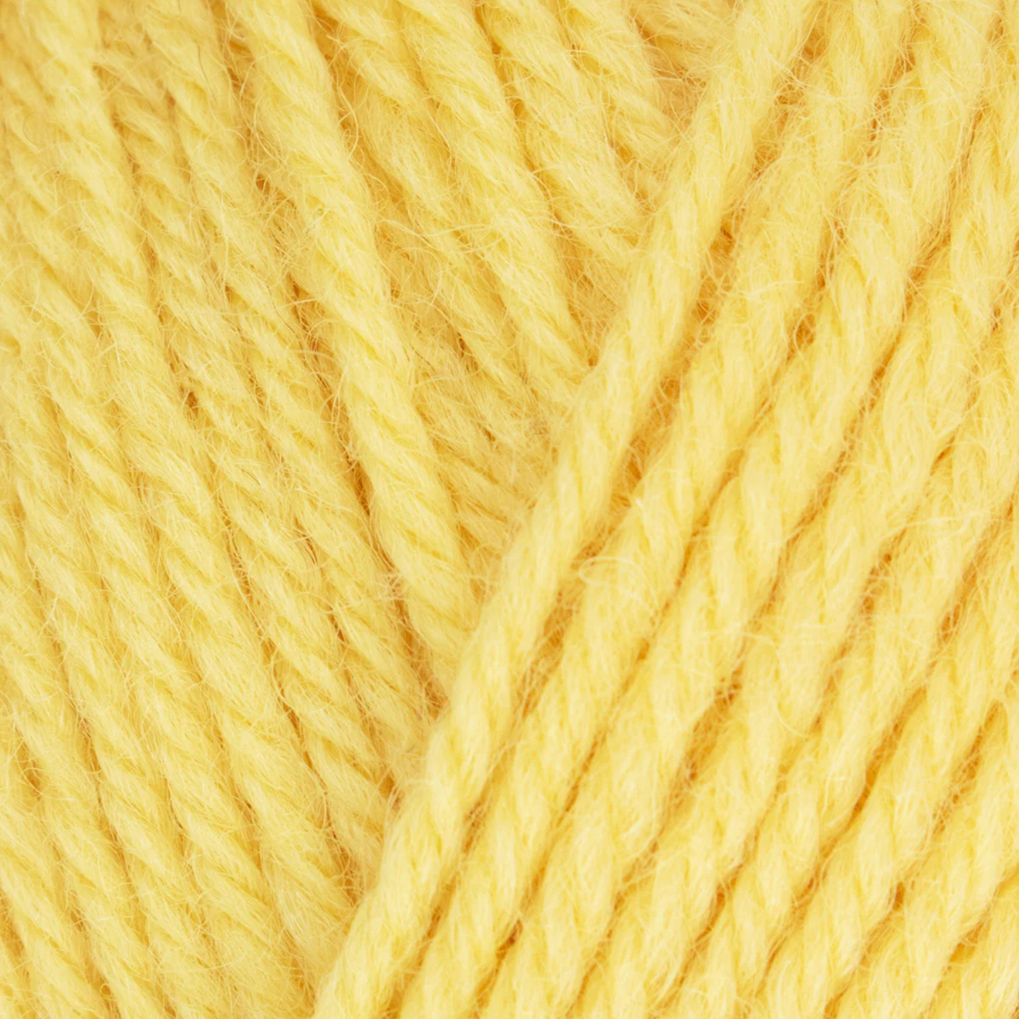 WYS Morris DK : Daffodil 1286