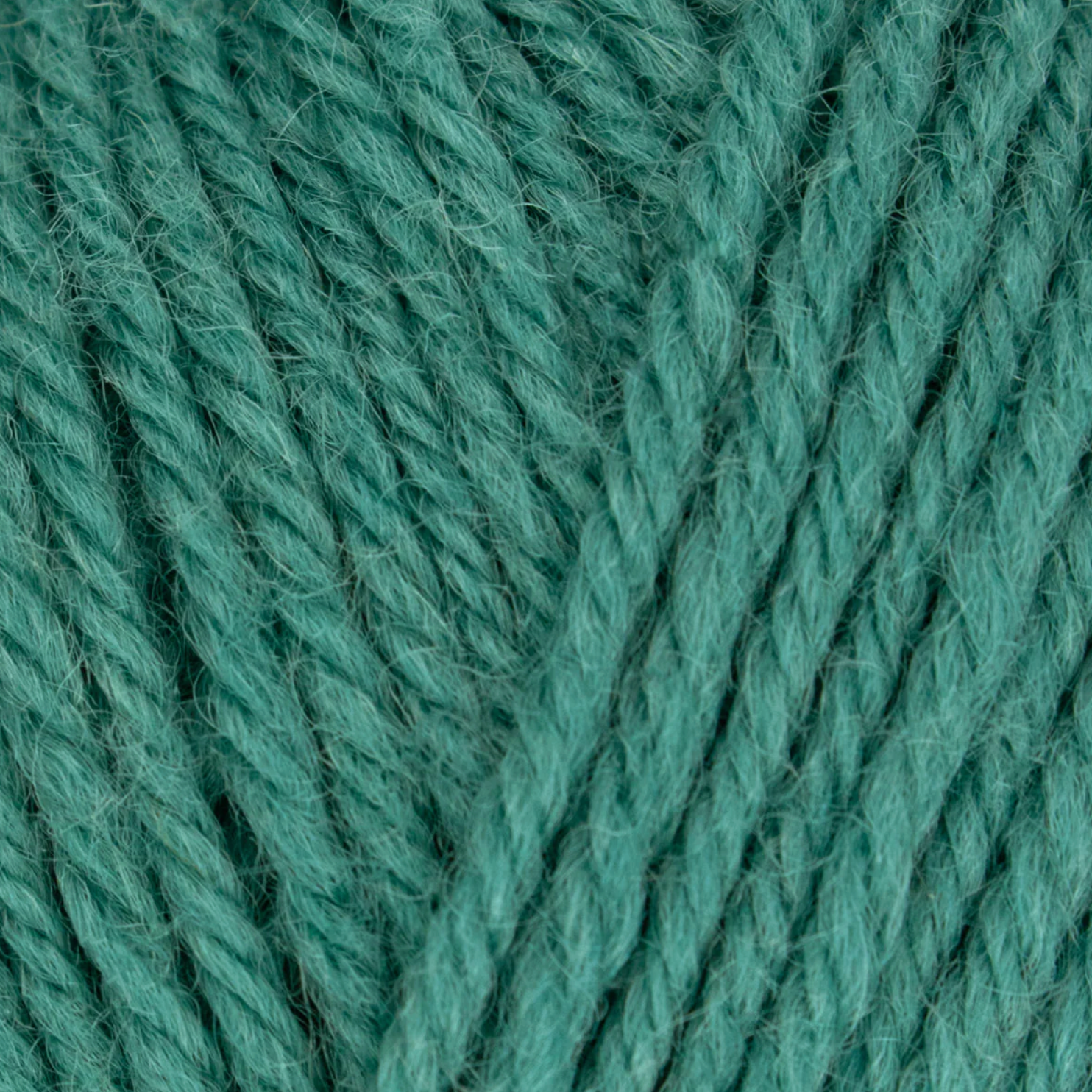 WYS Morris DK : Clover 1279