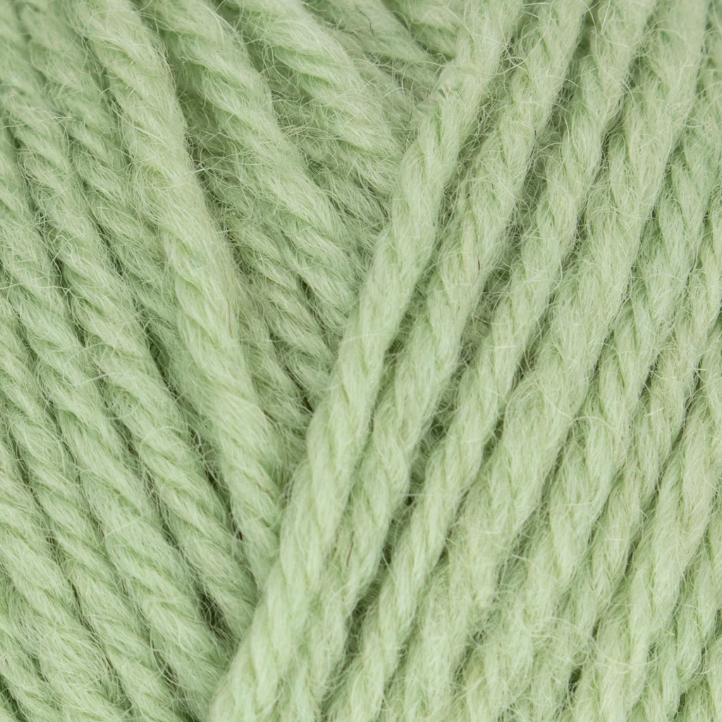 WYS Morris DK : Sage 1281