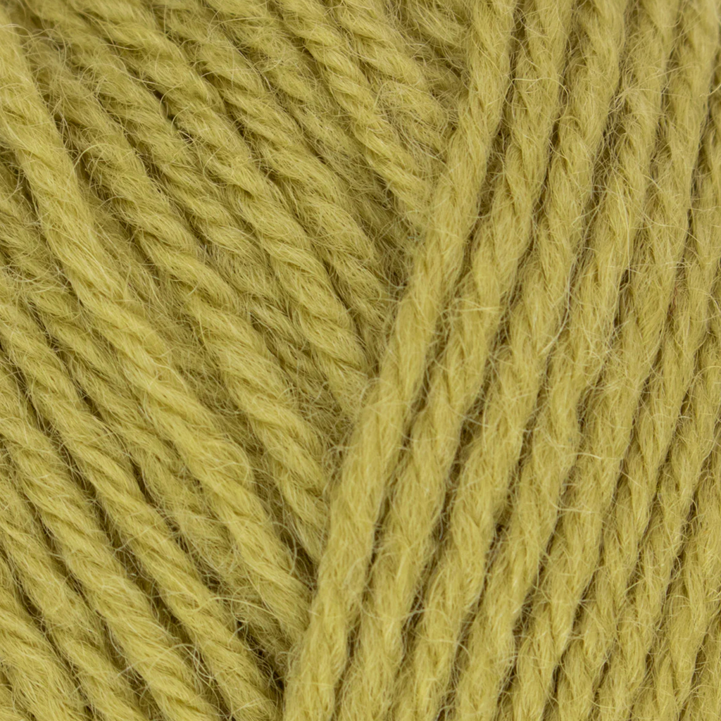 WYS Morris DK : Artichoke 1283