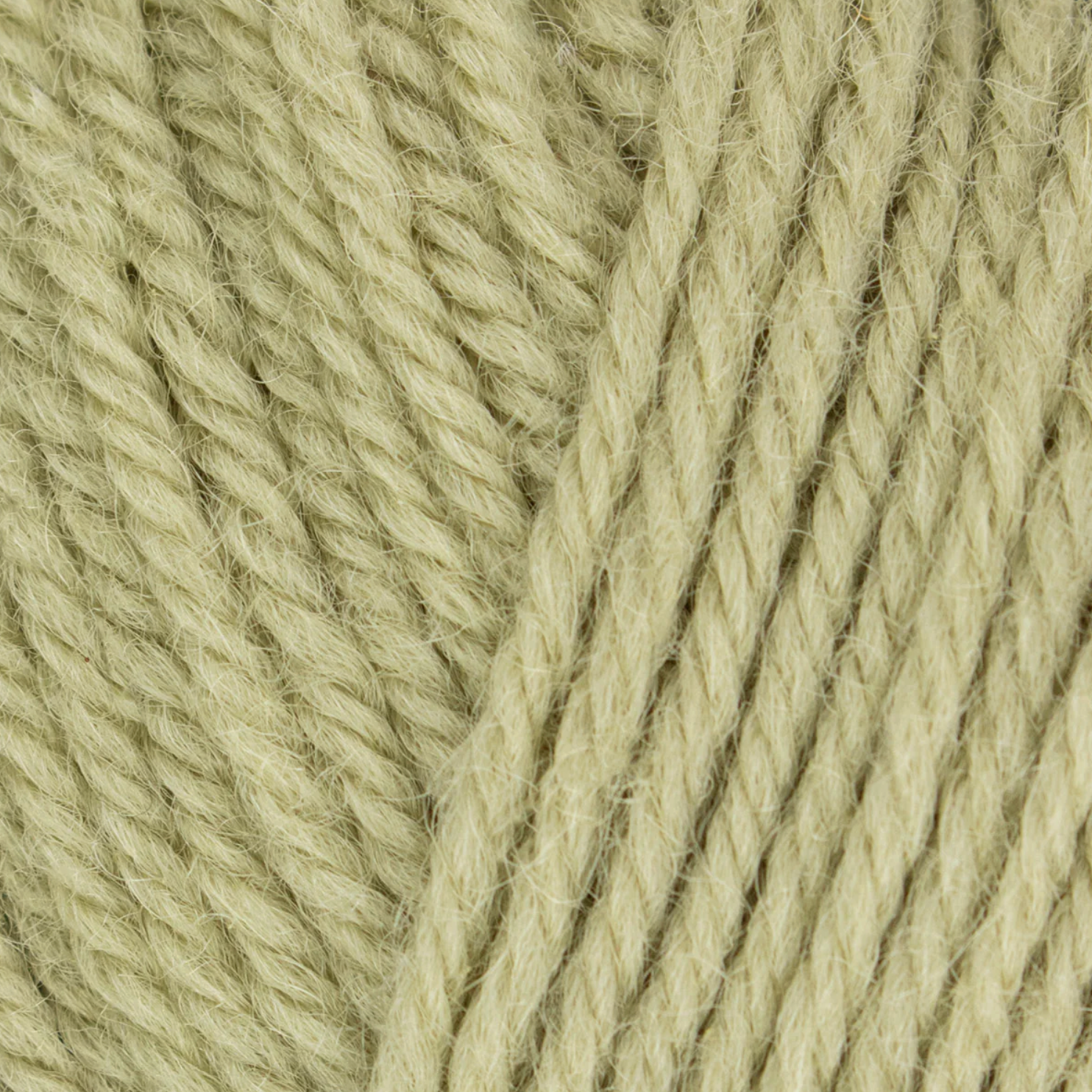 WYS Morris DK : Orchard 1284