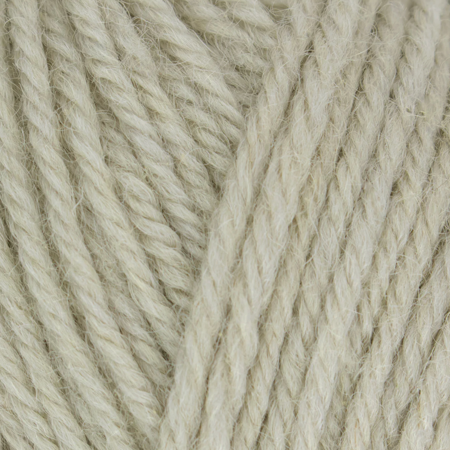 WYS Morris DK : Linseed 1285