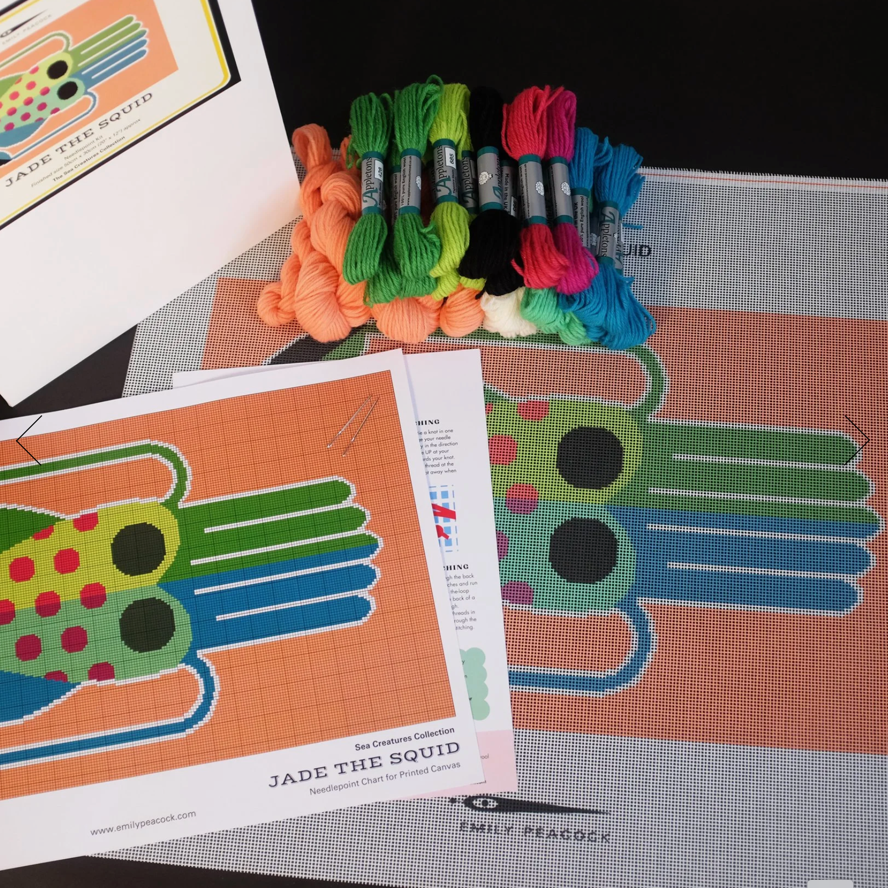 Emily Peacock Cross Stitch Kit : Jade the Squid