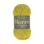 WYS Morris DK : Artichoke 1283
