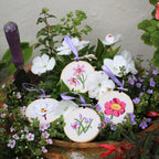 RHS Embroidery Hoop Kit x 4 : Pastel Florals