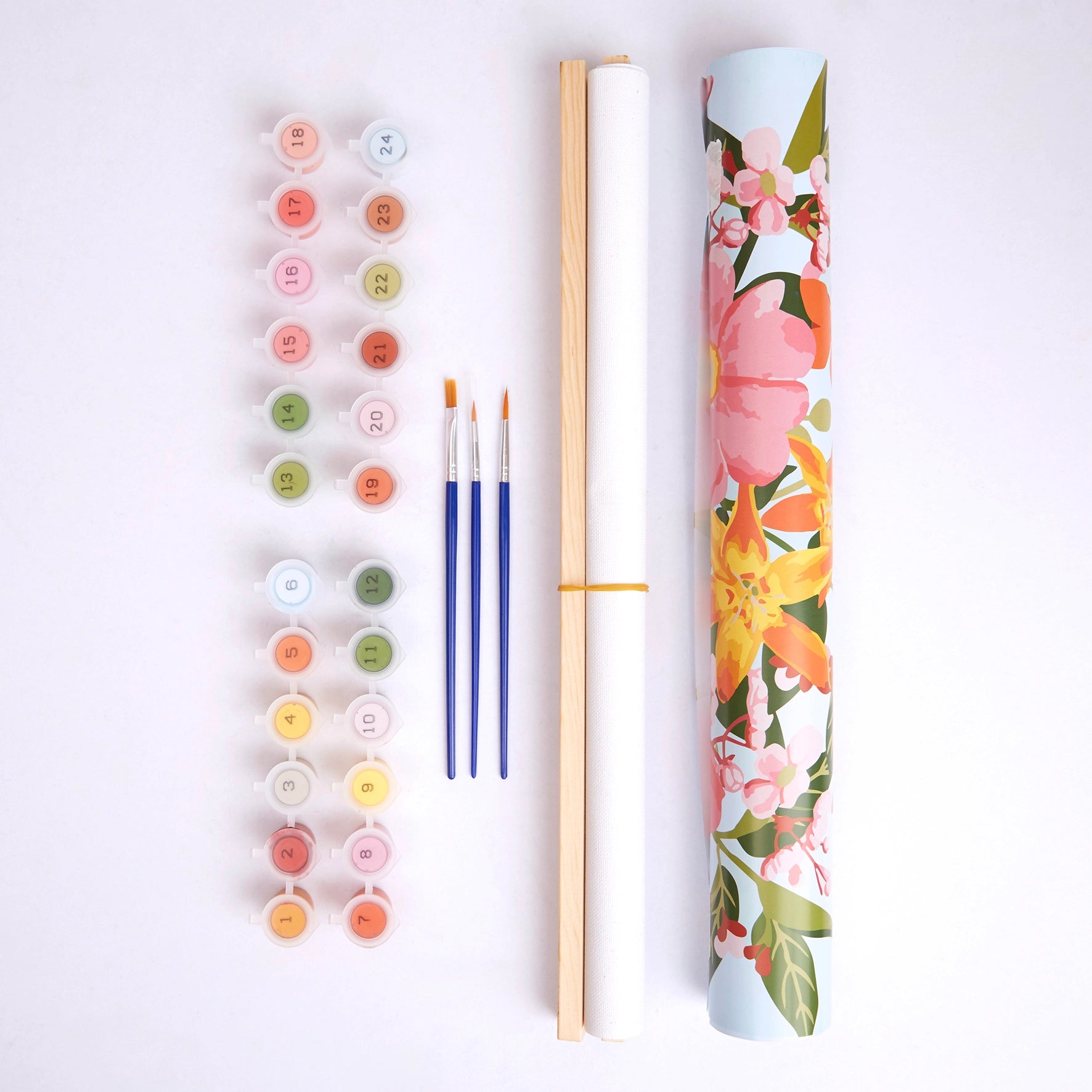 RHS Paint By Numbers Kit : Flower Boom