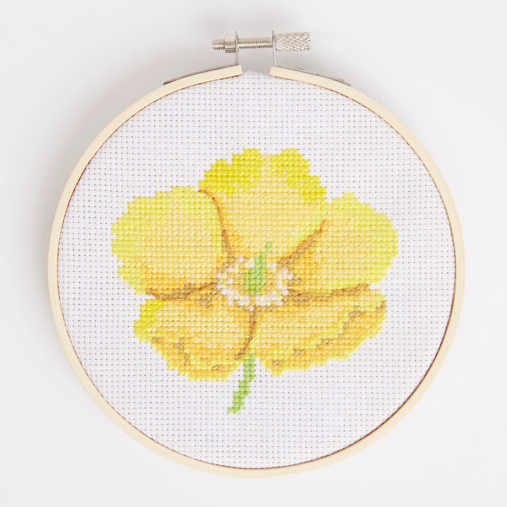 RHS Cross Stitch Kit : Hypericum