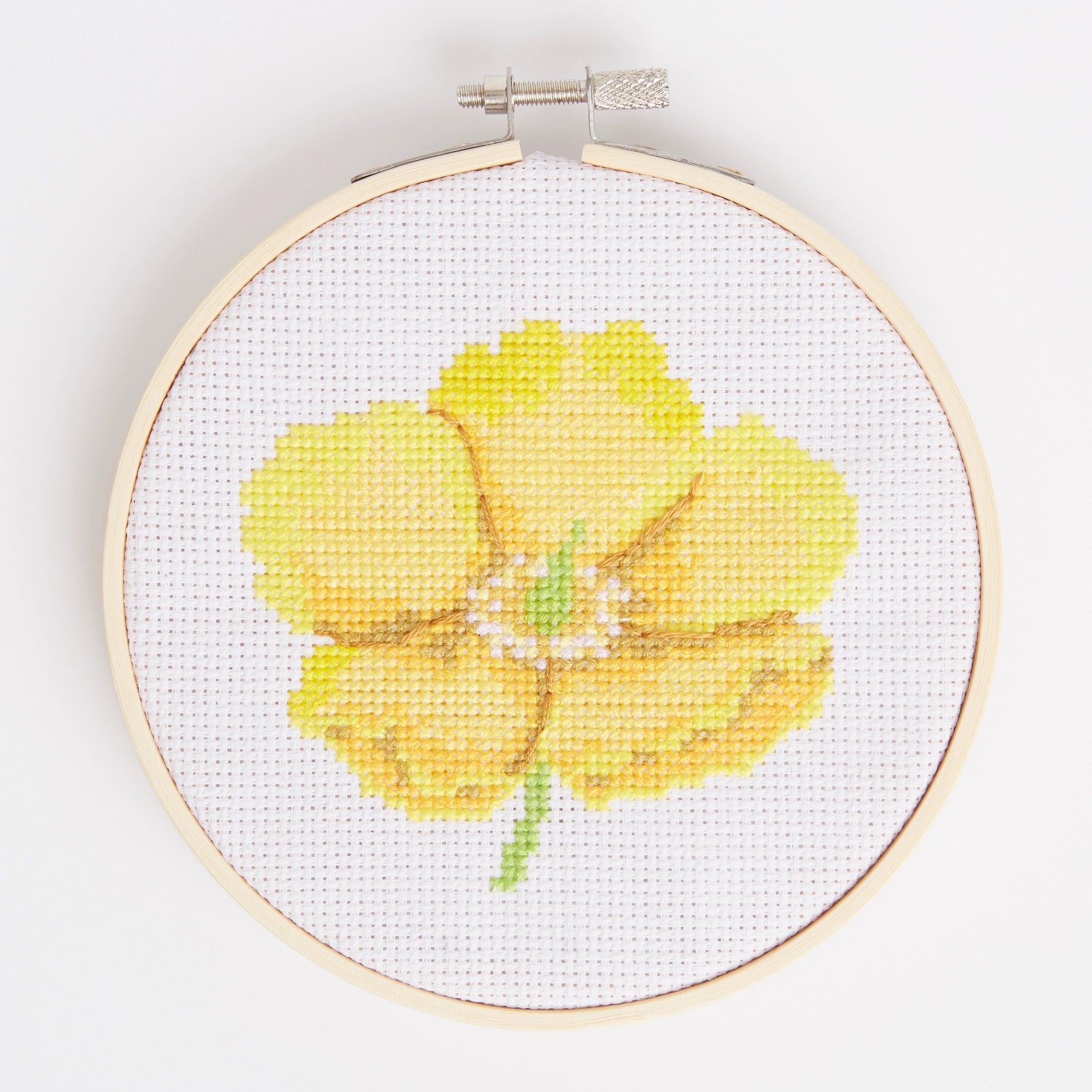 RHS Cross Stitch Kit : Hypericum