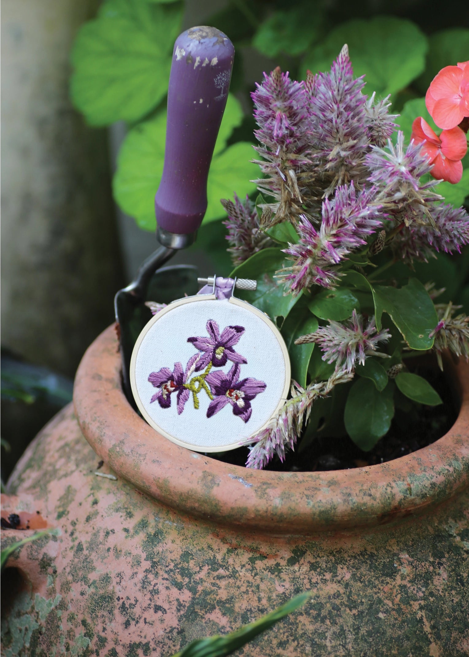 RHS Embroidery Hoop Kit x 4 : Orchids