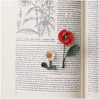 Mercerised Cotton Lace Weight Crochet Yarn Black