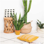 Rico Essentials Mega Wool Chunky : Mustard 006