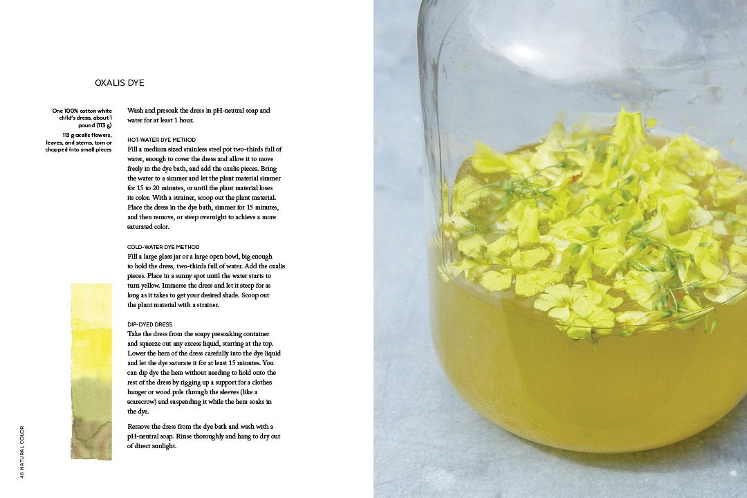 Natural Color: Vibrant Plant Dye Projects for Your Home and Wardrobe