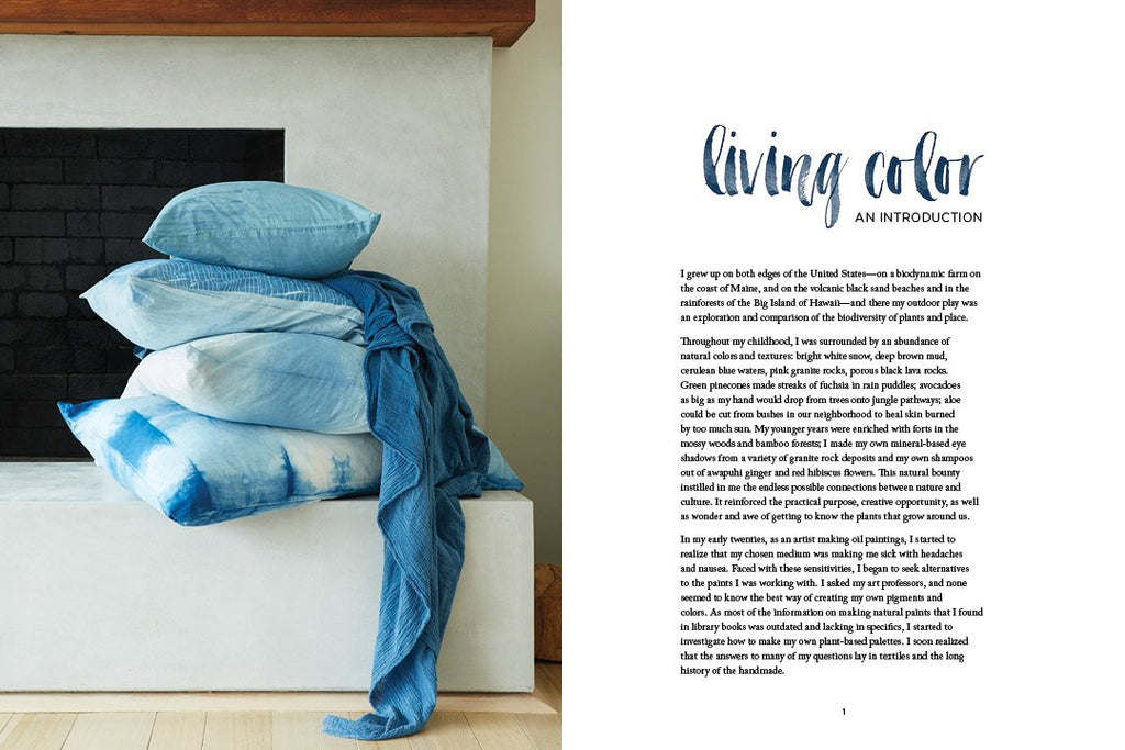 Natural Color: Vibrant Plant Dye Projects for Your Home and Wardrobe