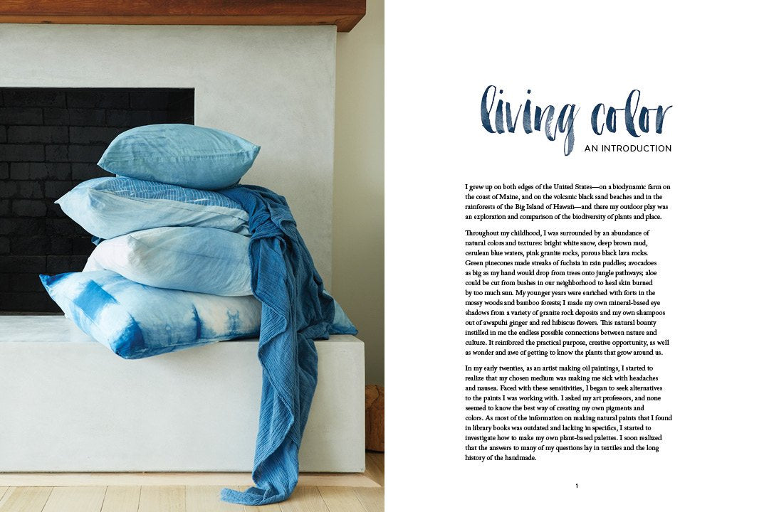 Natural Color: Vibrant Plant Dye Projects for Your Home and Wardrobe