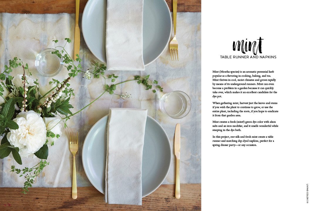 Natural Color: Vibrant Plant Dye Projects for Your Home and Wardrobe