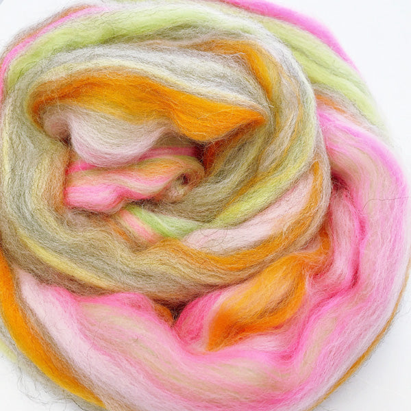 Angel's Delight House Blend Wooltops for Felting & Spinning 100g