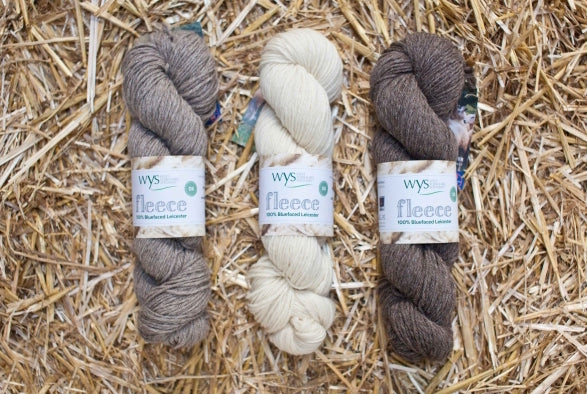 WYS Fleece Blue Faced Leicester Fleece DK Ecru 01 100g