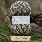 WYS Signature 4 ply yarn Blue Tit 818