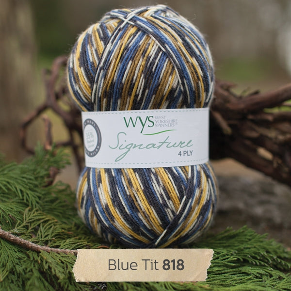 WYS Signature 4 ply yarn Blue Tit 818