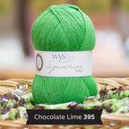 WYS Signature 4 ply yarn Chocolate Lime 395