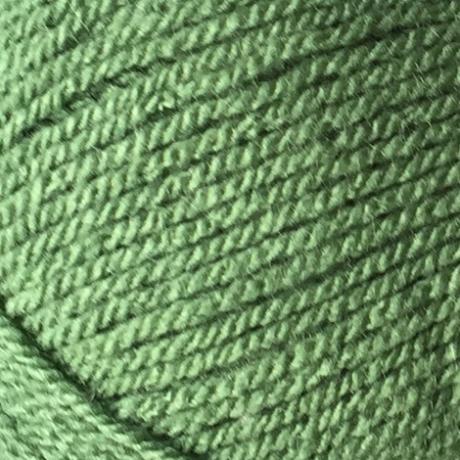 Stylecraft  Special DK - Cypress 1824