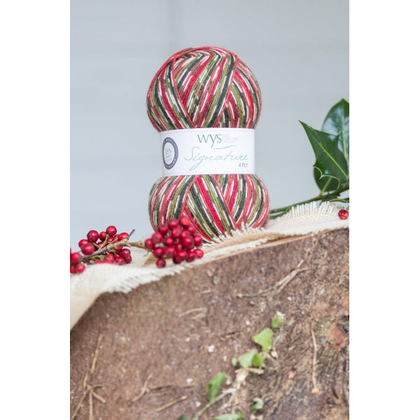 WYS Signature 4 ply yarn Holly Berry 886