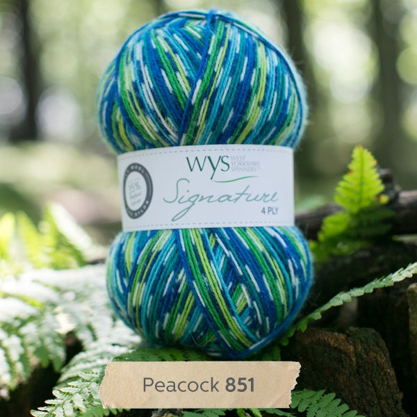 WYS Signature 4 ply yarn Peacock 851
