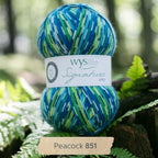 WYS Signature 4 ply yarn Peacock 851