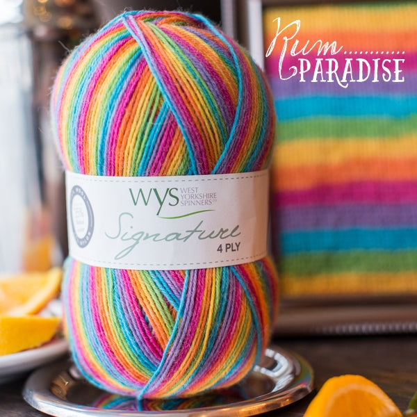 WYS Signature 4 ply yarn Rum Paradise 822