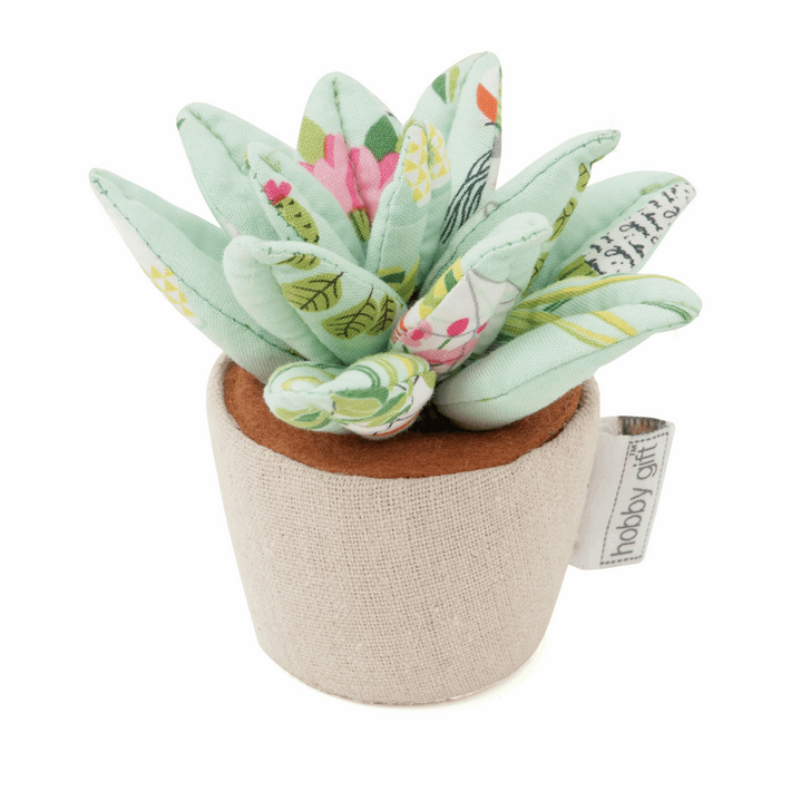 Pin Cushion : Succulent plant