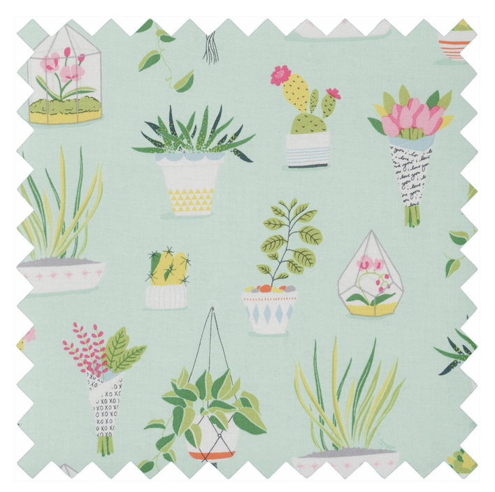 Pin Cushion : Succulent plant