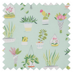 Pin Cushion : Succulent plant