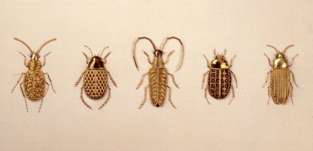 Stumpwork Beetle Collection