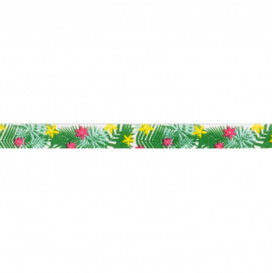 Tropical Ribbon 07