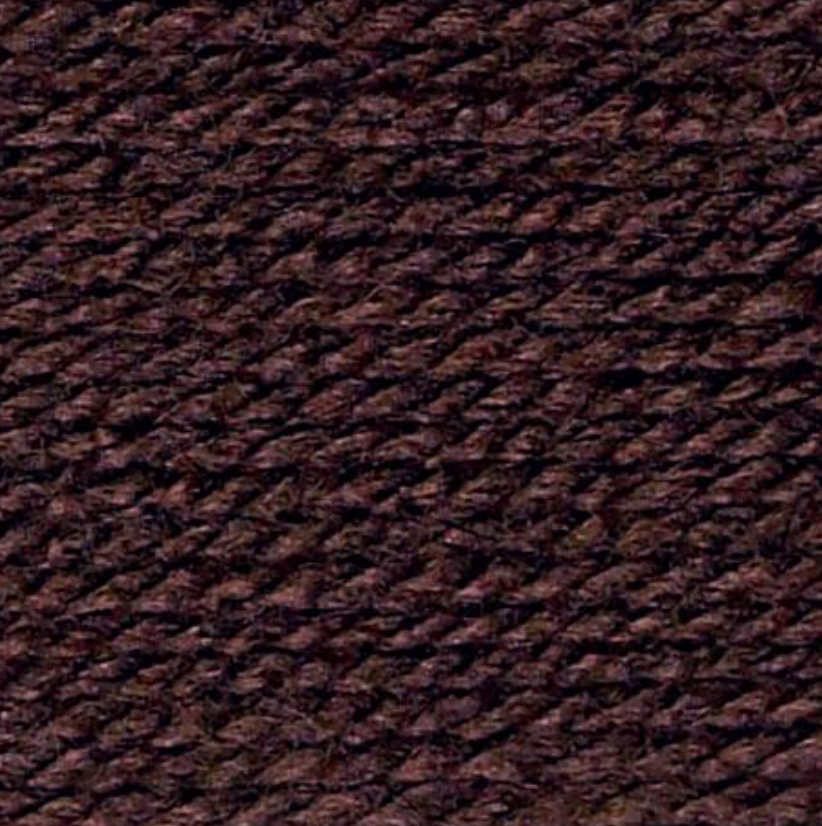 Stylecraft Special DK -  Dark Brown 1004