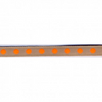 Single Polka Dot Ribbon / Trimming : Neon Orange