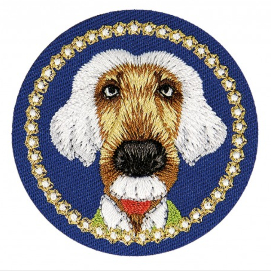 Einstein Patch