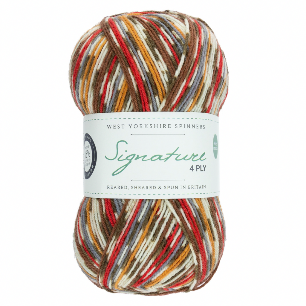 WYS Signature 4 ply sock yarn Christmas Robin 941