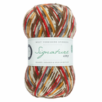 WYS Signature 4 ply sock yarn Christmas Robin 941