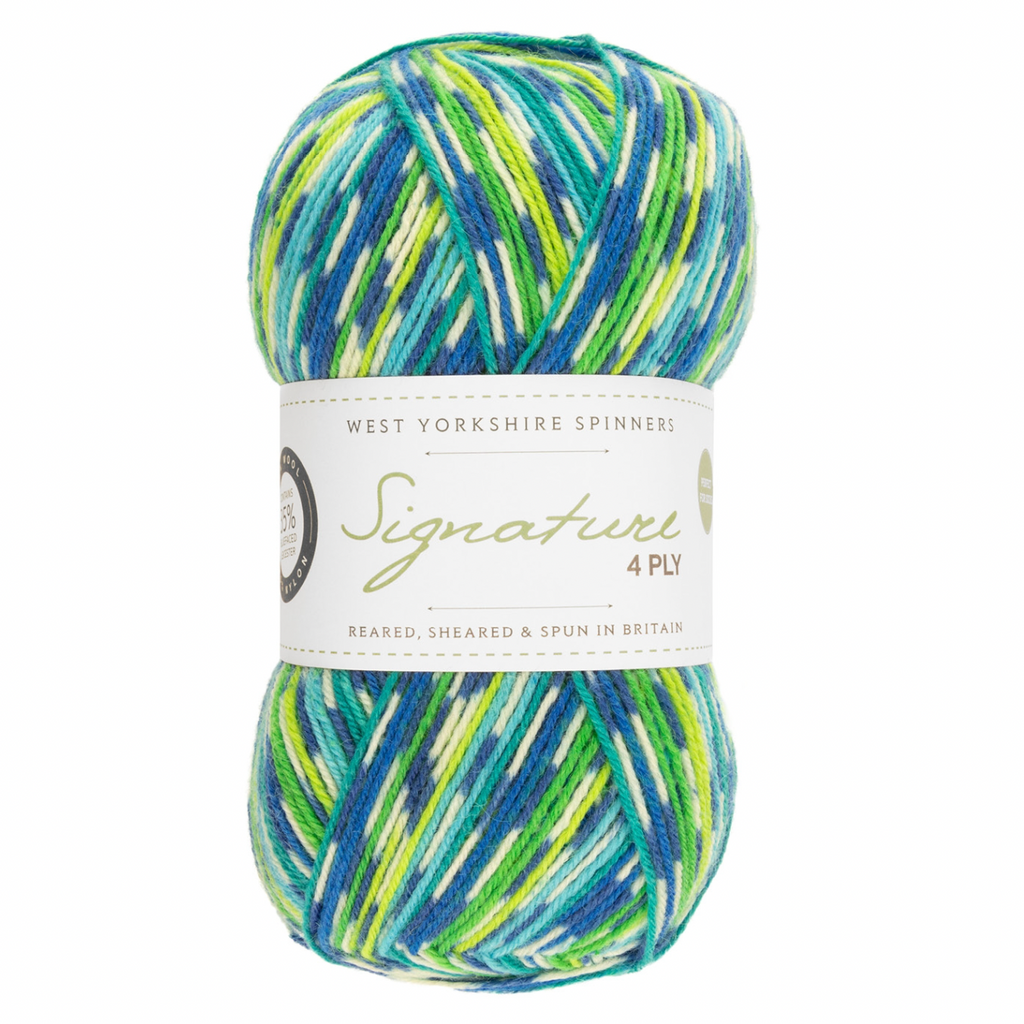 WYS Signature 4 ply yarn Peacock 851