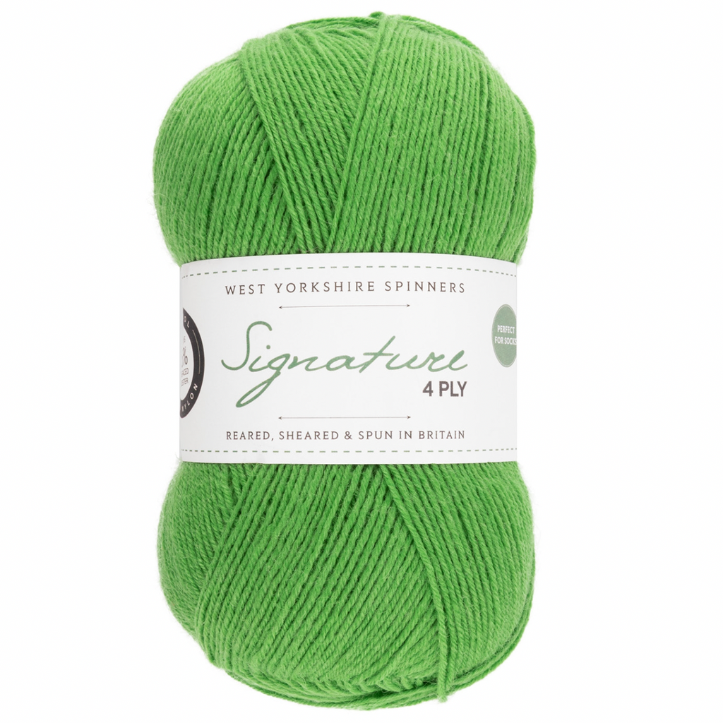 WYS Signature 4 ply yarn Chocolate Lime 395