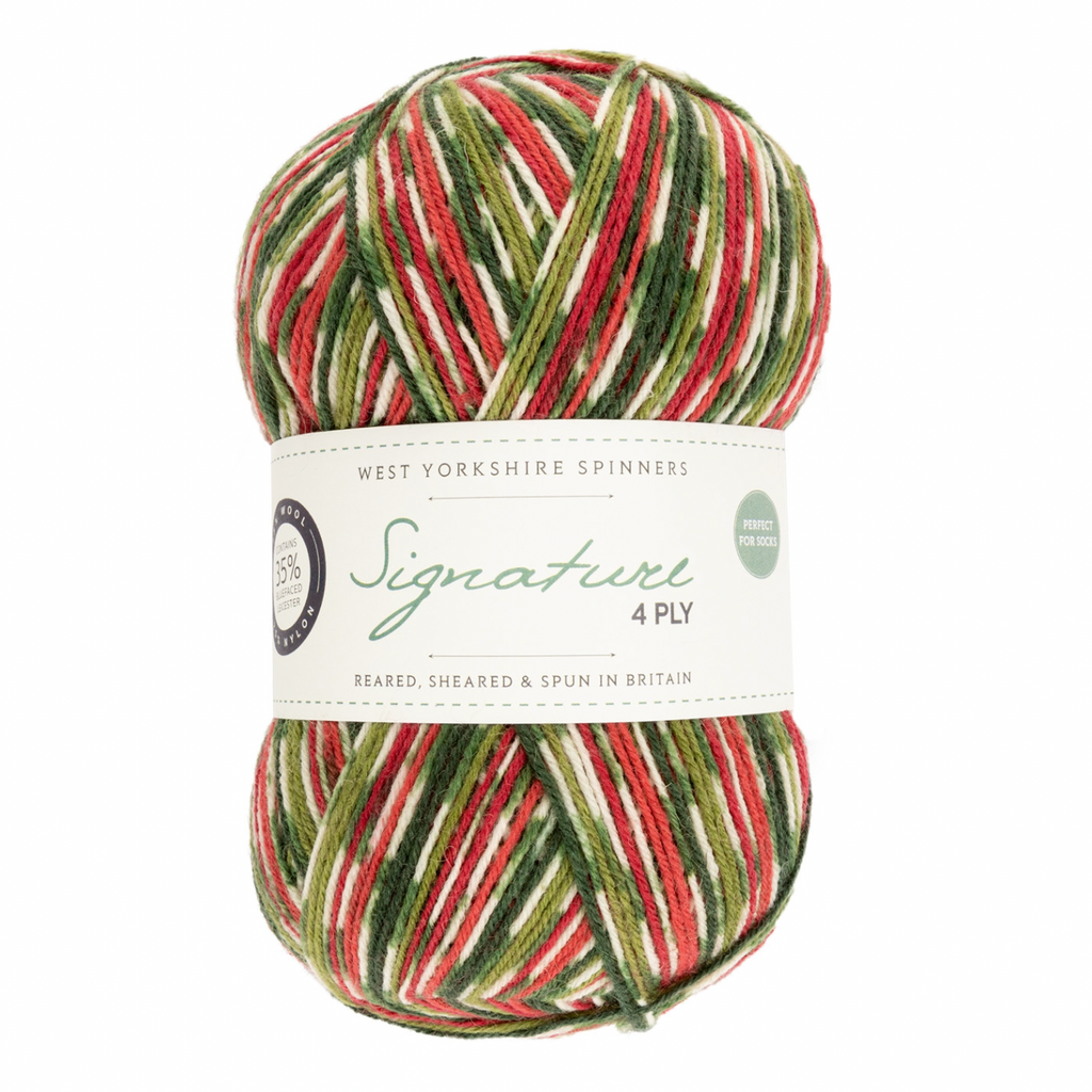 WYS Signature 4 ply yarn Holly Berry 886