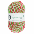 WYS Signature 4 ply sock yarn Candy Cane 989