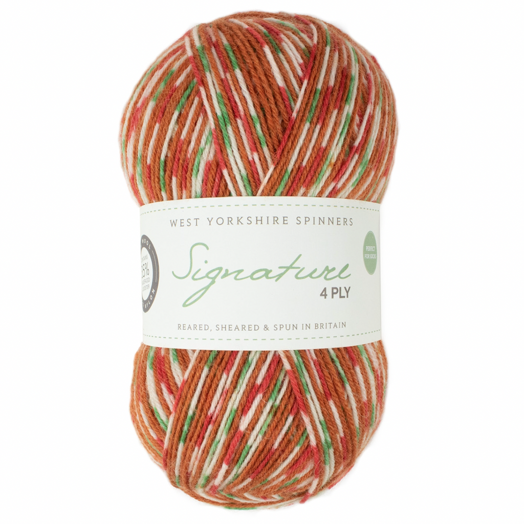 WYS Signature 4 ply sock yarn Gingerbread 1109