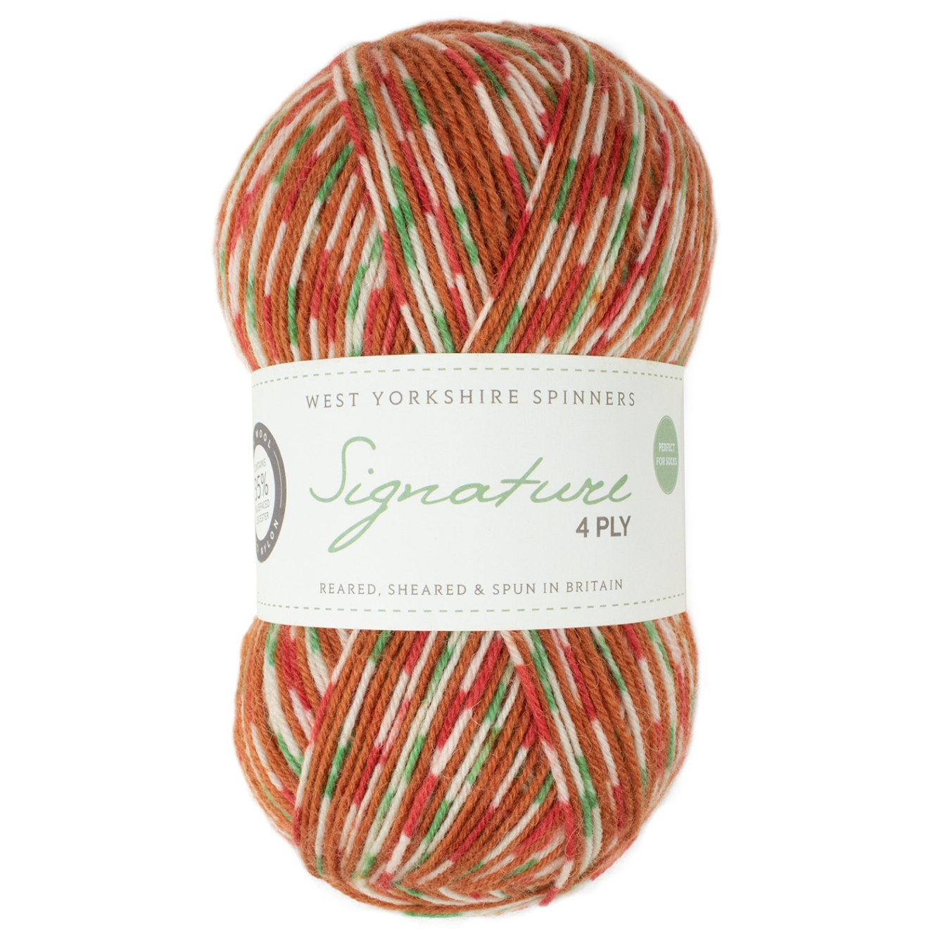 WYS Signature 4 ply sock yarn Gingerbread 1109