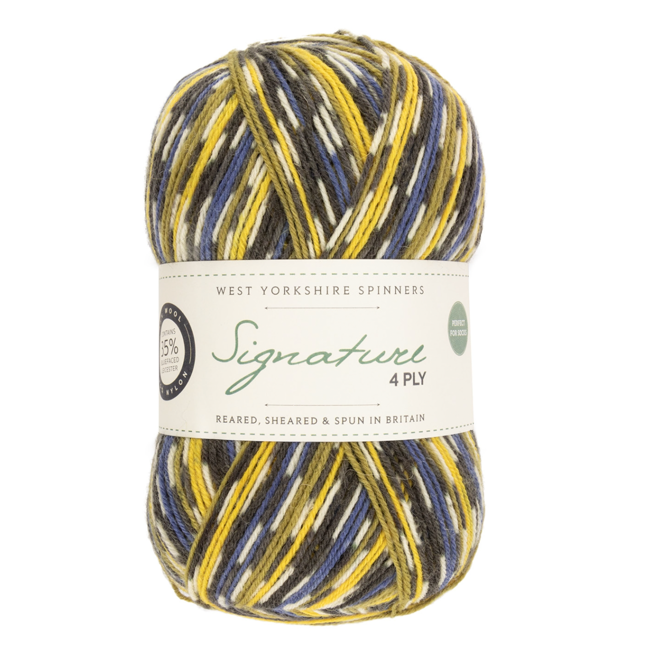 WYS Signature 4 ply yarn Blue Tit 818