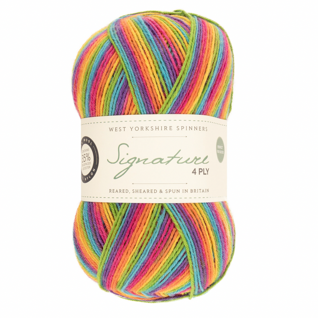 WYS Signature 4 ply yarn Rum Paradise 822