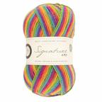 WYS Signature 4 ply yarn Rum Paradise 822
