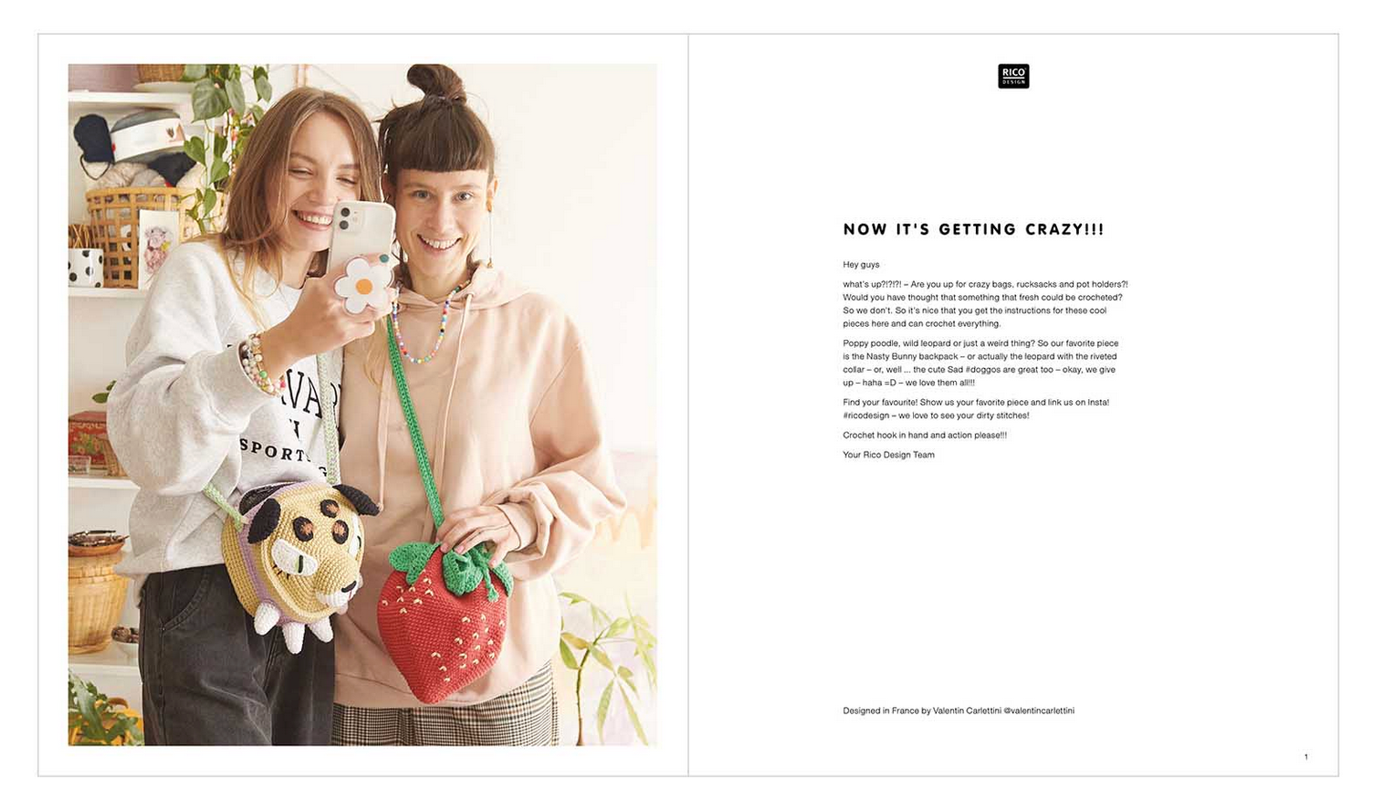 Just Bags + Things + Crazy Stuff Pattern Book (using our Cotton Aran) (D)